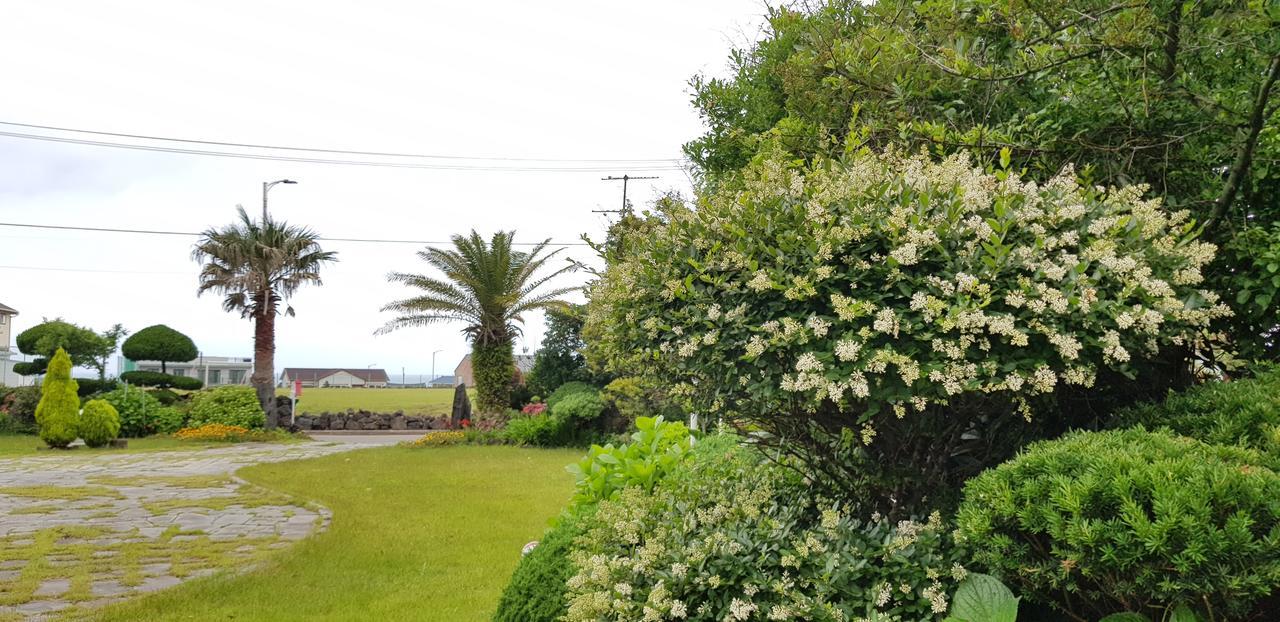 Jeju Again Olle Pension ภายนอก รูปภาพ
