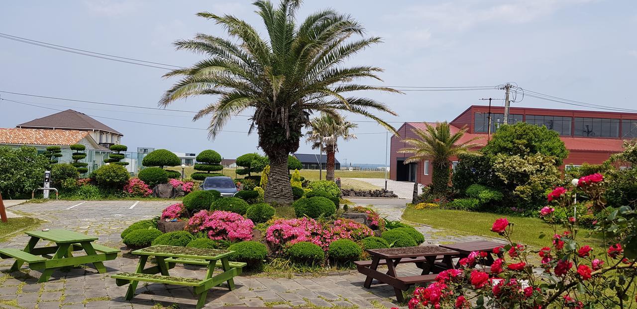 Jeju Again Olle Pension ภายนอก รูปภาพ