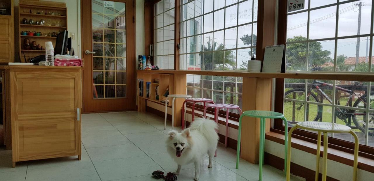 Jeju Again Olle Pension ภายนอก รูปภาพ